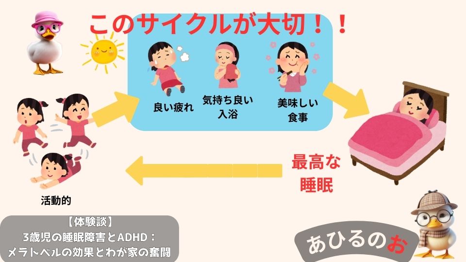 大切な生活サイクルを図式化して表示。見る人の理解を促進する