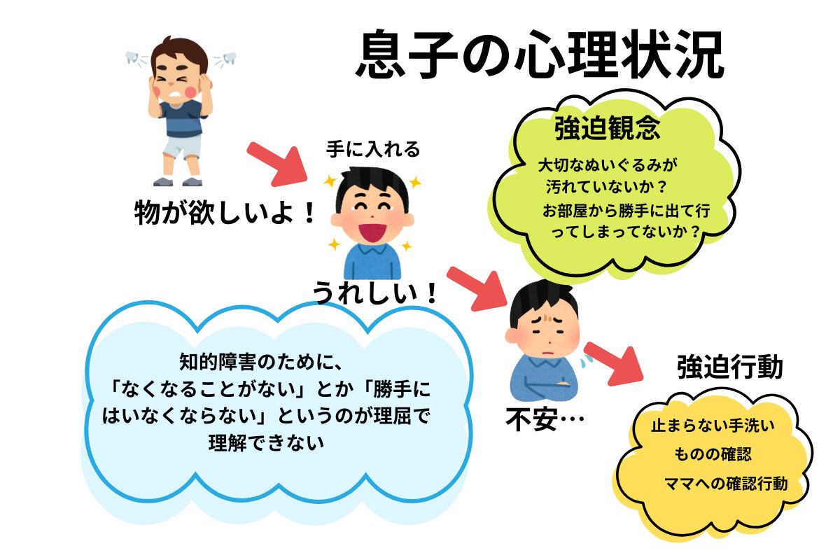 強迫性障害 物依存の心理状況、息子の体験談より